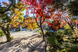 朝の日差しと秋の影