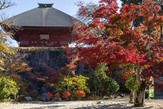もみじと千手観音堂
