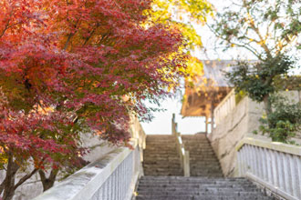 もみじと剣之山