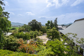 歴史ある本堂と美しい庭