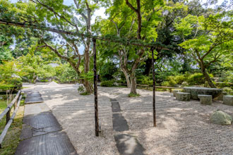 美しき庭（波紋）